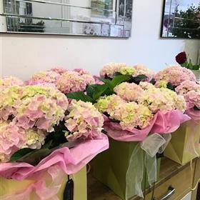 fwthumbstudio florist upminster inside.jpg